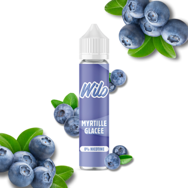 wilo-myrtille-glacee-50ml